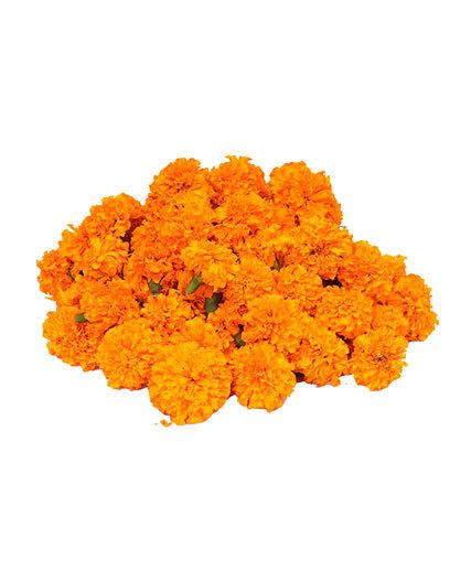 MARIE GOLD FLOWER ORANGE 100G