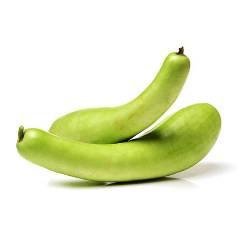 BOTTLE-GOURD.jpg Bottle Gourd Sorraikai -Long Dhudhi - Image 1