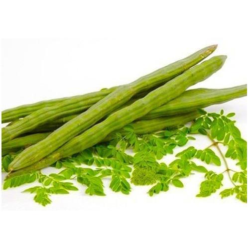 DRUMSTICK.jpg DRUMSTICK (MURUNGAIKAI) - Image 1