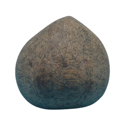 NATURES DRY COCONUT WHOLE (COPRA) 1 PCS