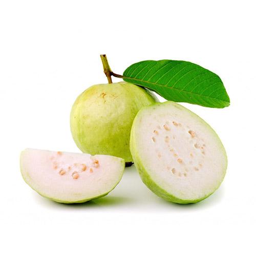 INDIAN-GUAVA.jpg INDIAN GUAVA - Image 1