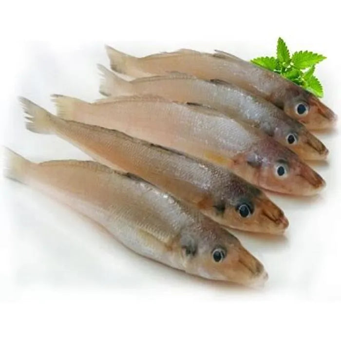 LADY_fa1115e4-7e0d-4416-9274-2a967af444a4.jpg PRE-ORDER LADY FISH CLEANED 750G TO 850G - Image 1