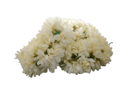 JASMINE FLOWER (MULLAI) 1 FT (30CM)