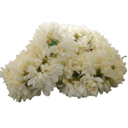 Jasmine Flower Mullai 1 Ft 30 Cm