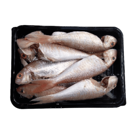 PRE-ORDER SANGARA CLEANED 750G TO 850G