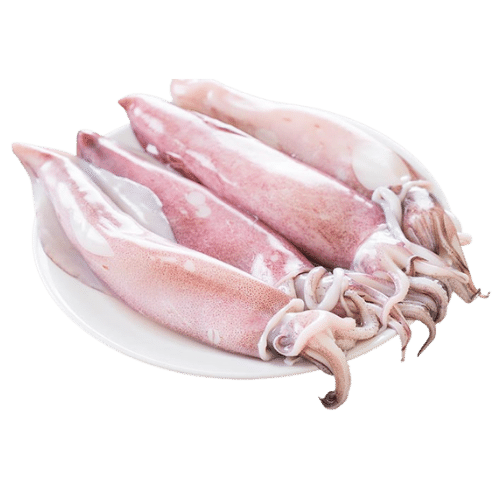 SQUID-KANAVAI-FISH-CLEANED-1KG-1_e4923a79-2751-41f9-bb06-02ba0774a427.png PRE-ORDER SQUID CLEANED 750G TO 850G - Image 1
