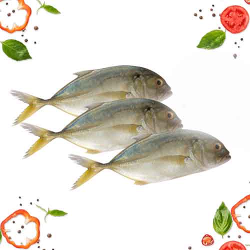 TREVALLY-FISH-PAARAI-MEEN-_-CLEANED-1KG_285f58a8-6ffd-417d-98d2-da44c8a2da2d.jpg PRE-ORDER TREVALLY CLEANED 750G TO 850G - Image 1