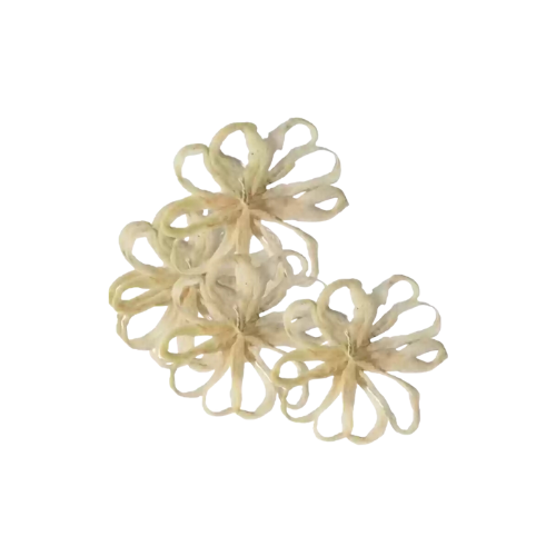 Untitleddesign_34.png LOTUS STEM WICKS (THAMARAI THANTU THIRI) 1 PCS - Image 1