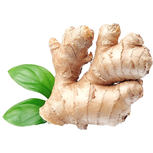 ginger-1.png FRESH GINGER - Image 1