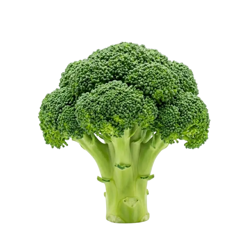 broccoli-0-tcvpe9.webp Broccoli - Image 1