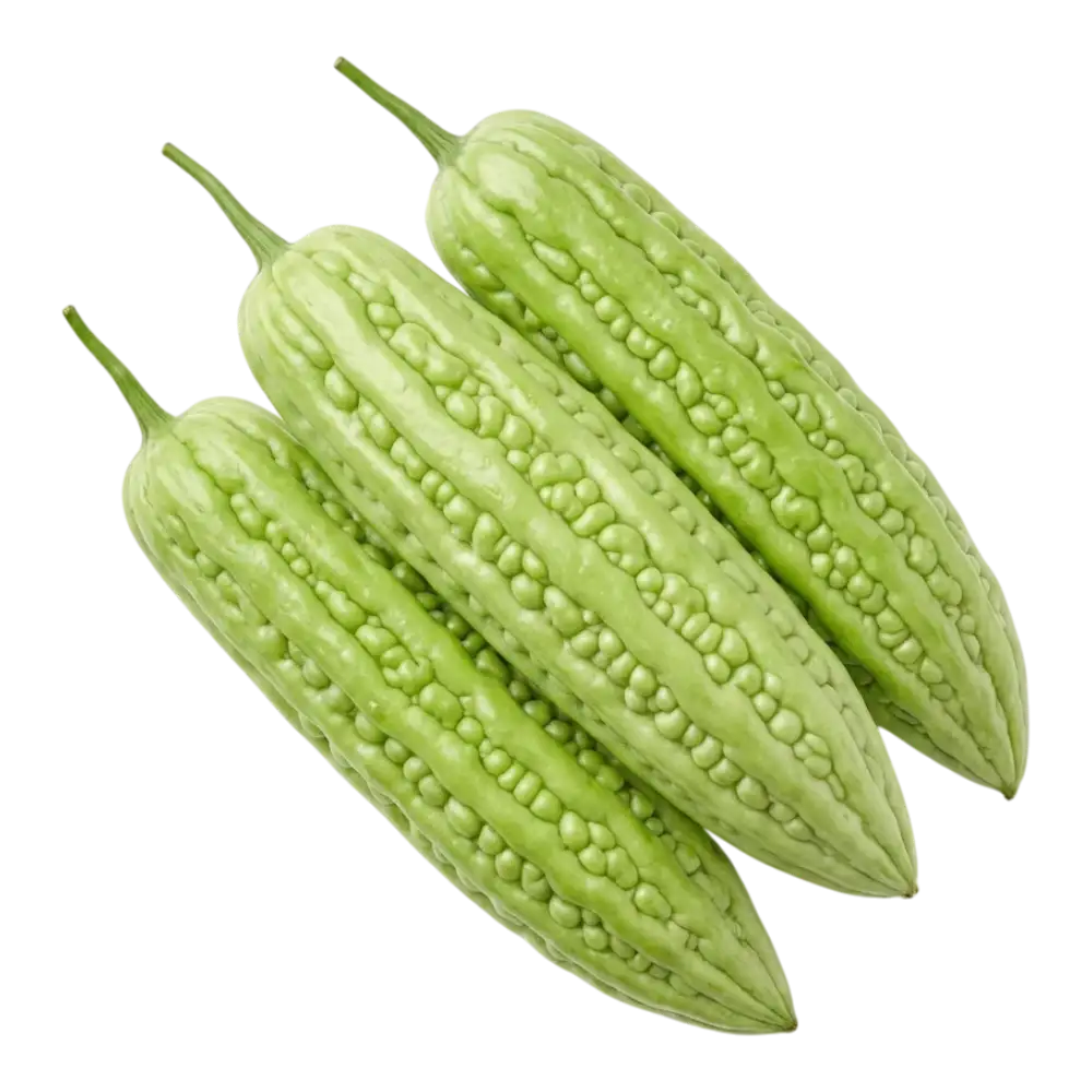 chinese-karela-0-tepqpl.webp Chinese Karela - Image 1
