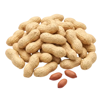 Fresh Peanut | Monkey Nuts