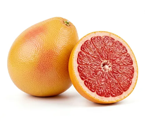 grapefruit-tb6fz0.webp Grapefruit - Image 1