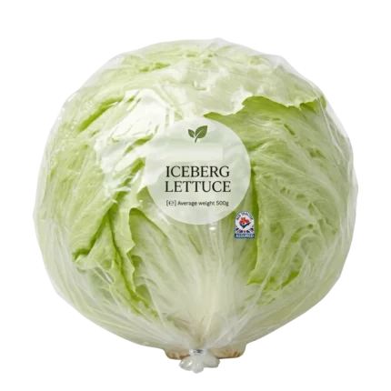 Iceberg Lettuce