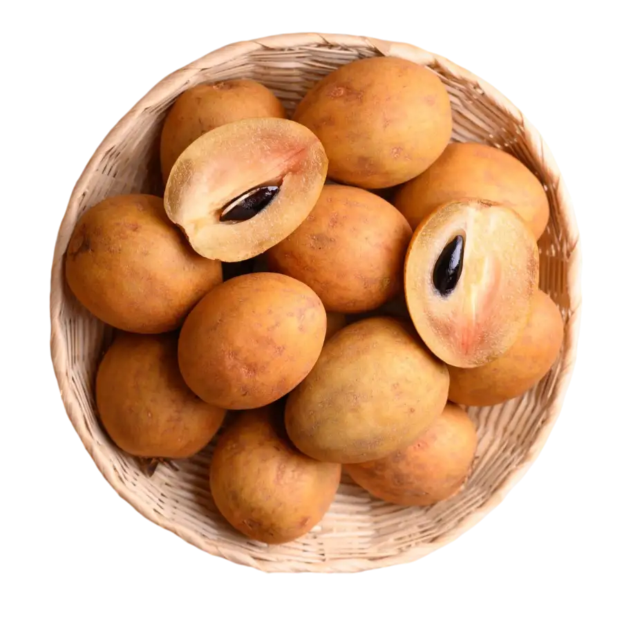 indian-chikoo-0-tehoza.webp Indian Chikoo - Image 1