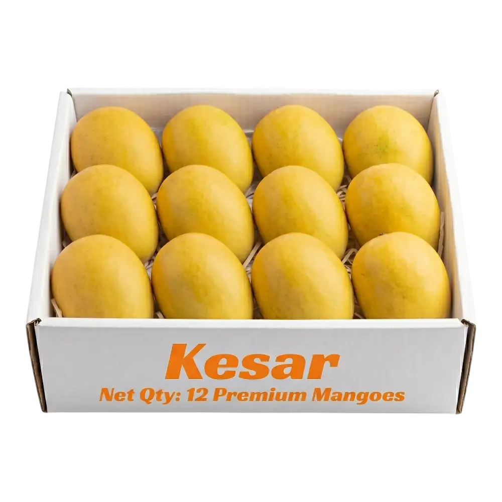 indian-kesar-mango-big-box-12pcs-0-tf8bzw.webp Indian Kesar Mango Big Box (12Pcs) - Image 1