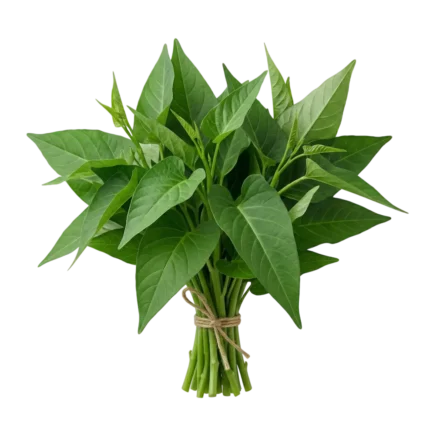 Kankun Leaves