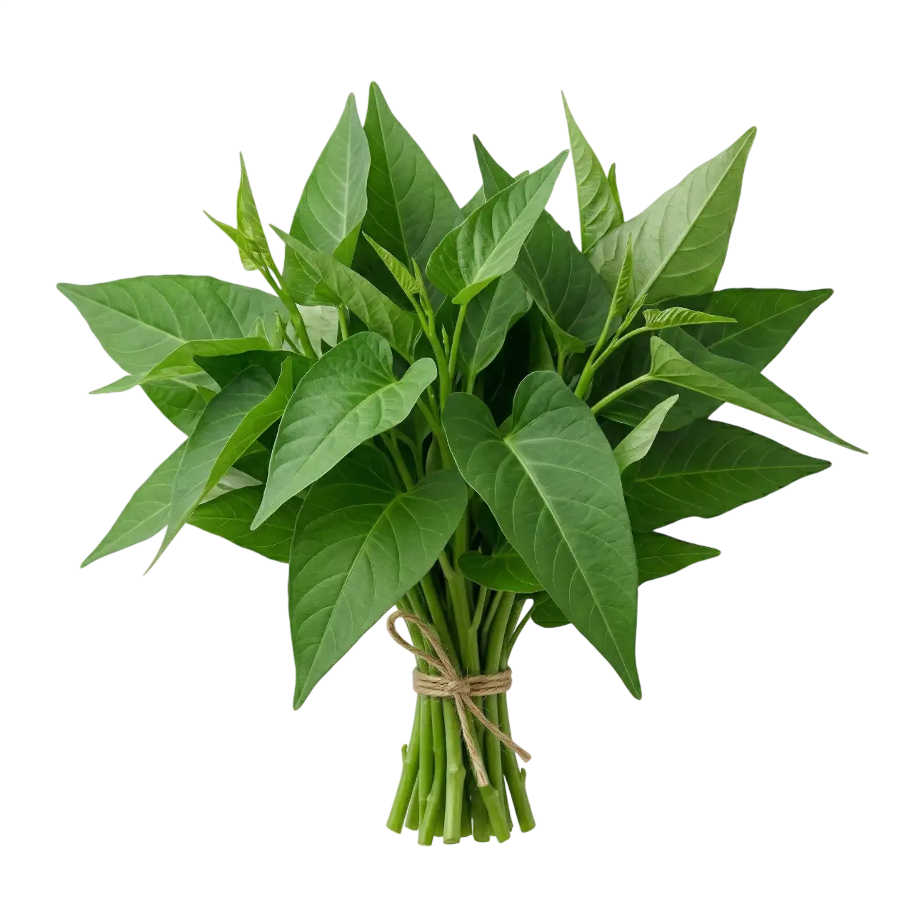 kankun-leaves-0-tdrcrd.webp Kankun Leaves - Image 1