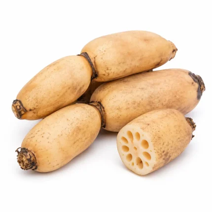 Lotus Yam Roots