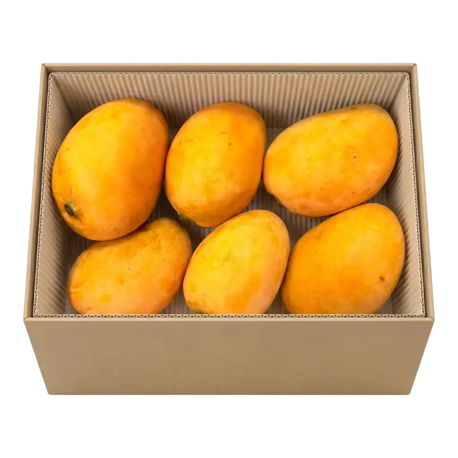 mango-box-6-mangoes-0-tehjos.webp Mango Box (6pcs) Dominican - Image 1