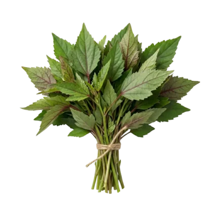 Pulicha Keerai (Gongura Leaves) Prepack (Apprx. 200g)