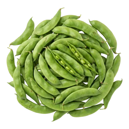 Val Papdi Beans