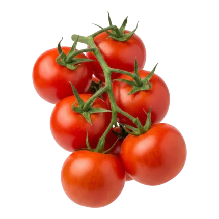 Vine Tomatoes
