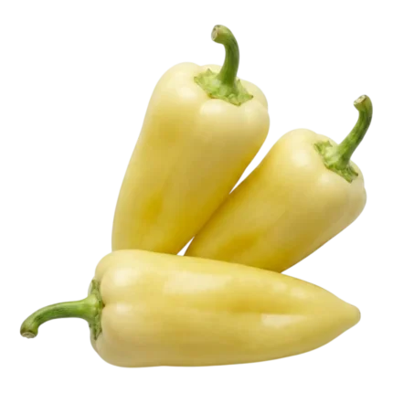 White Capsicum