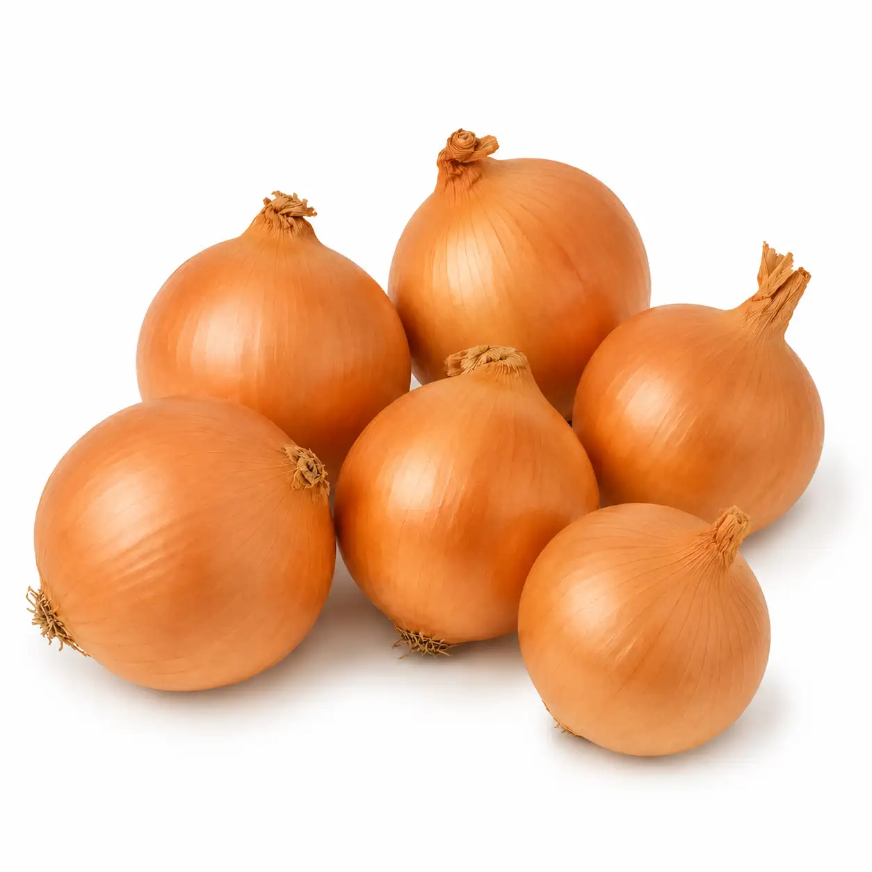 white-onion-loose-0-tjf3ww.webp White Onion Loose - Image 1