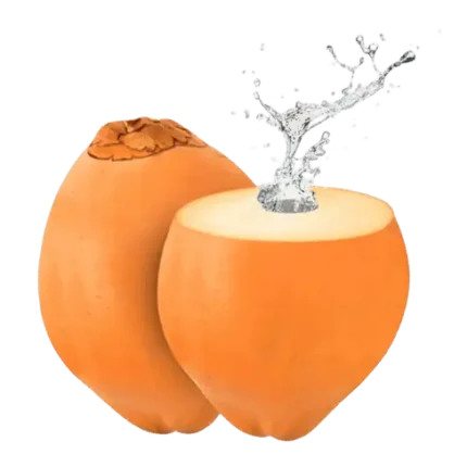 Young King Coconut